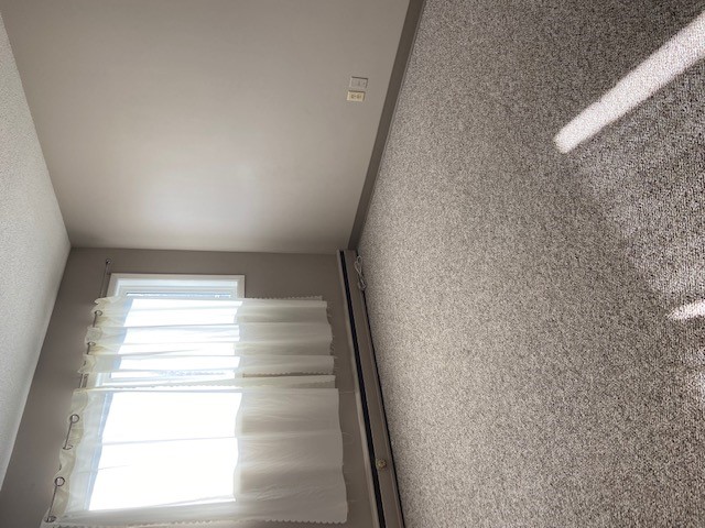 1314 College DR 1 Bedroom full Suite to Rent 